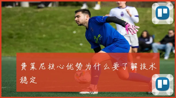 费莱尼核心优势为什么要了解技术稳定