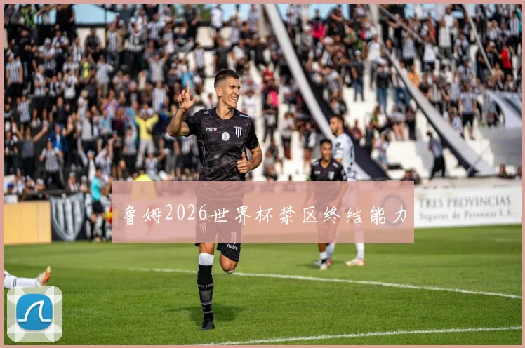 鲁姆2026世界杯禁区终结能力