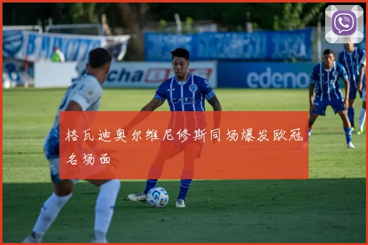 格瓦迪奥尔维尼修斯同场爆发欧冠名场面