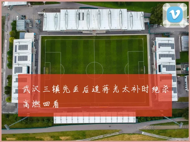 武汉三镇先丢后追蒋光太补时绝杀高燃回看