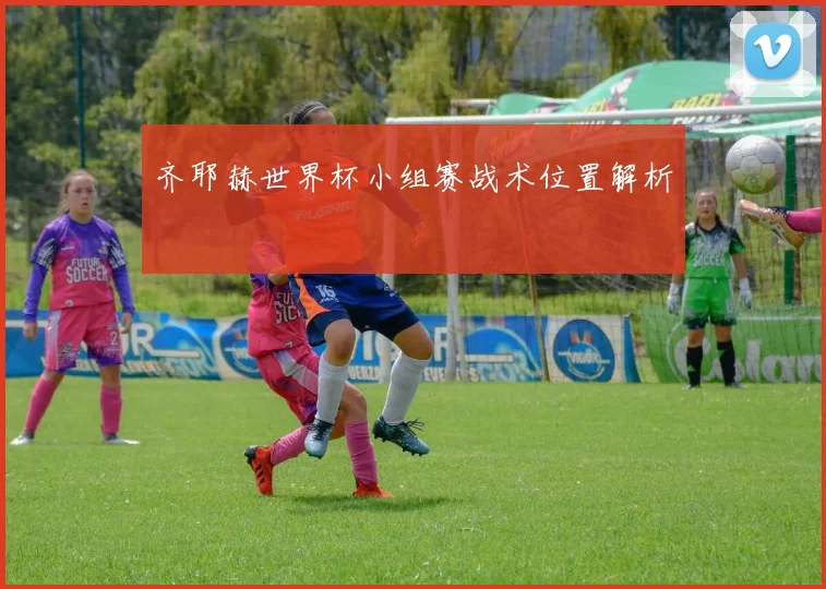齐耶赫世界杯小组赛战术位置解析