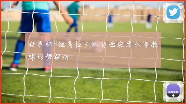 世界杯H组乌拉圭队与西班牙队净胜球形势解析