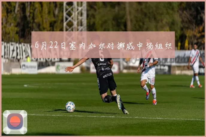 6月22日塞内加尔对挪威中场组织