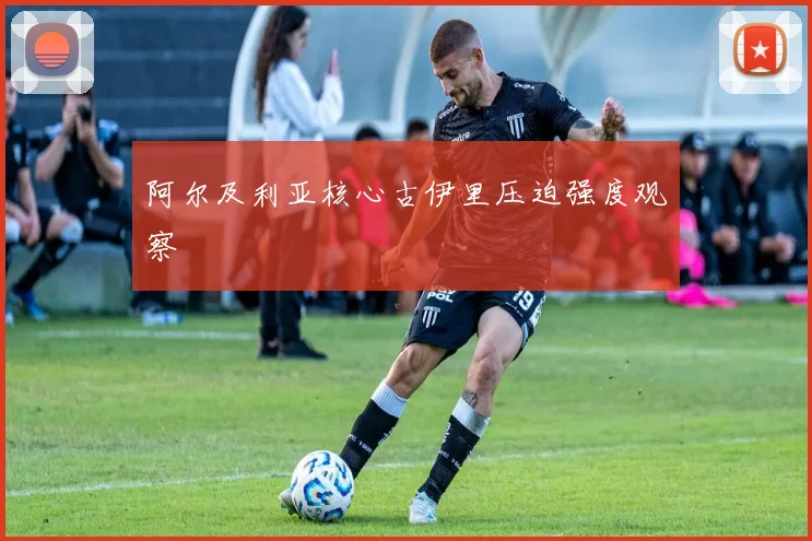 阿尔及利亚核心古伊里压迫强度观察