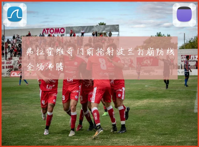 弗拉霍维奇门前抢射波兰打崩防线全场沸腾
