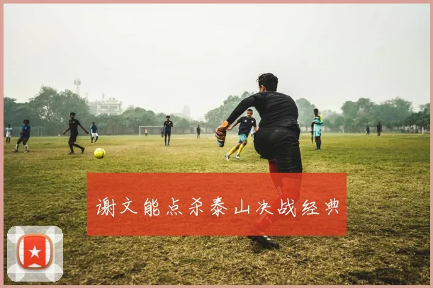 谢文能点杀泰山决战经典